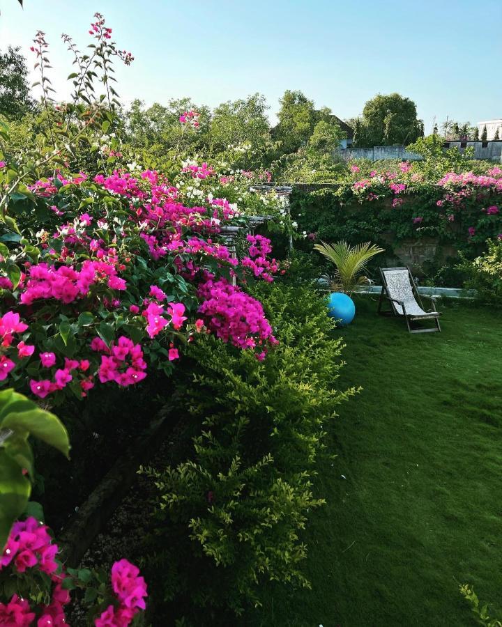 Uroa Getaway Bed & Breakfast Dış mekan fotoğraf